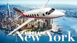 Game screenshot Airplane New York mod apk