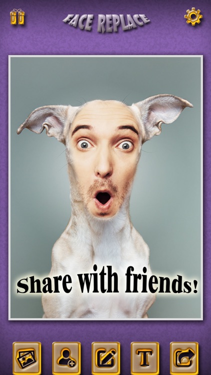 Funny Face Replace Pro - Photo Effects Editor to Change Visage Image & ELF Yourself screenshot-4