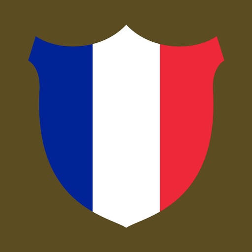 French Boost basic icon