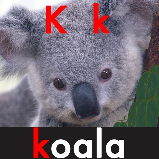 abc k de koala