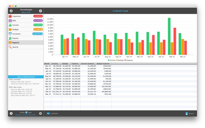 homebudget with sync problems & solutions and troubleshooting guide - 2