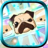 Adorable Pet Puppy Match Popstar