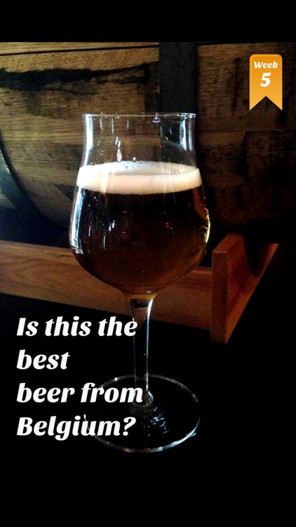 Beer Tasting Guide