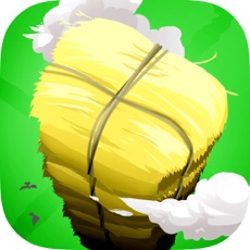 Activities of Barn Builder Story: A Hay Stacking Frenzy