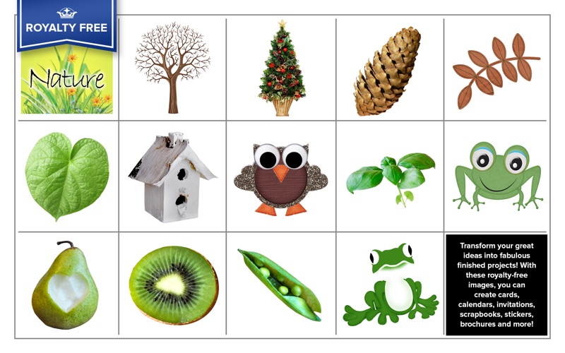 RF Nature Image Collection thumbnail 2
