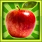 Learn By Fun Fruit & Vegetable Pro