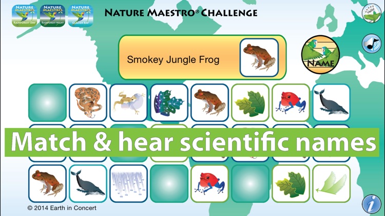 Nature Maestro Challenge screenshot-3