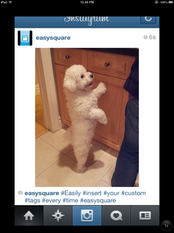 Screenshot #4 for Easy Square - Post Entire Photos On Instagram With No Crop