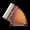 Accordion For Beginners