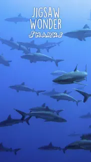 shark puzzles for kids jigsaw wonder collection iphone screenshot 3