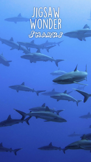 ‎Shark Puzzles for Kids Jigsaw Wonder Collection Screenshot