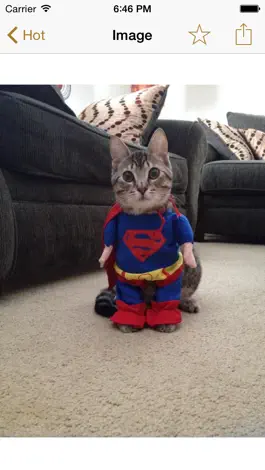 Game screenshot Cute Animals - Aww! hack