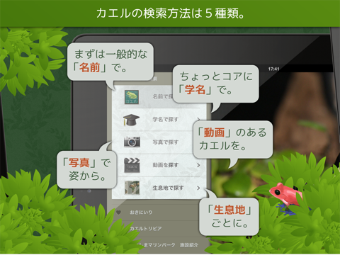 Screenshot #5 pour あわしま世界のカエル図鑑FREE
