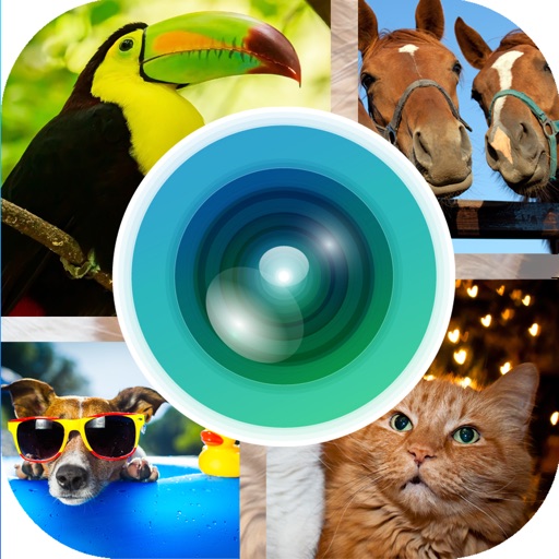 A Pet Frame Photo Editor App For Dogs, Cats, Birds, and other Animals FREE