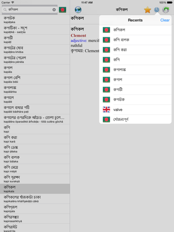 Bengali English best translation tool iPad screenshot 5 - Education app
