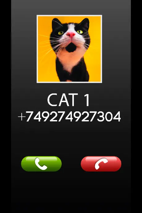 Fake Call Cat Prank