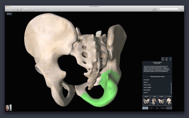 Essential Skeleton 4(圖3)-速報App