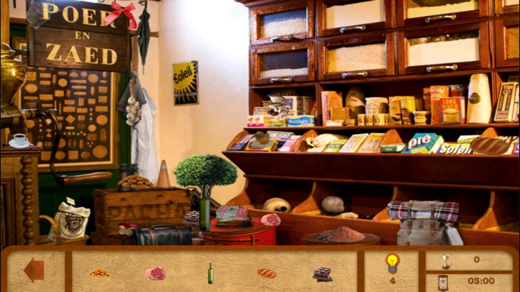 My Fantasy Of House Hidden Objects