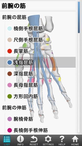 3D筋肉図鑑のおすすめ画像4