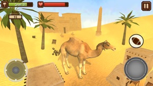 Camel Simulator screenshot #2 for iPhone