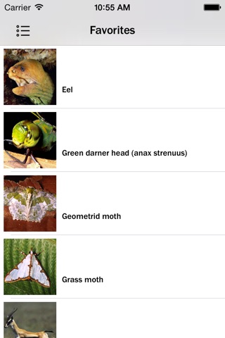 Animals and Insects screenshot 4