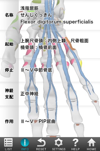 3D筋肉図鑑のおすすめ画像5