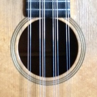 Guarneri - List of the music luthiers/-stores in DE, AT & CH app icon - Music app for iPhone