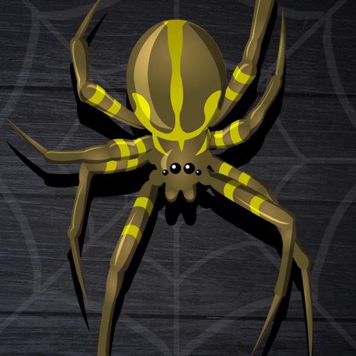 Spider Squish Game Icon