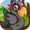 Floppy Hungry Ninja Bird - Fun Puzzle Feeding Game Paid