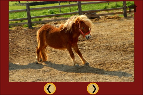 Pony and carnival shooting for kids - free game screenshot 4