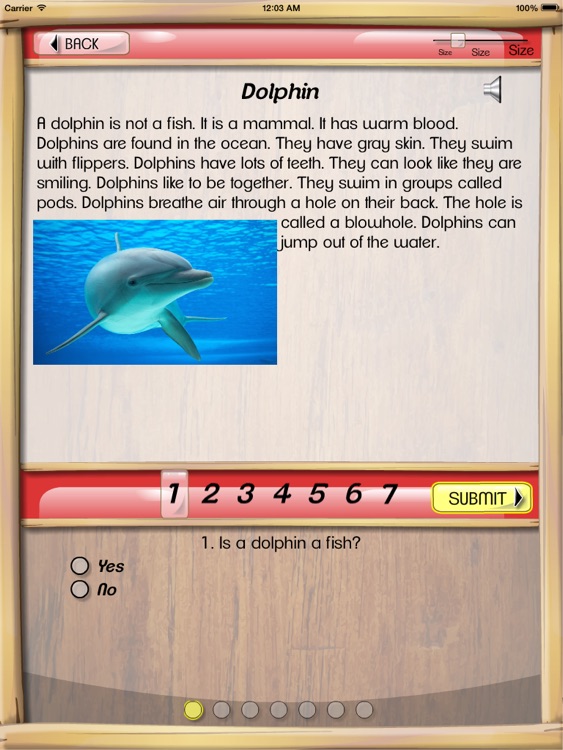Reading Comprehension - Grades 1st and 2nd With Assessment