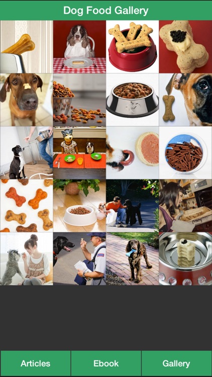 Dog Treat Guide - Homemade Dog Food for Your Dog Healthy !