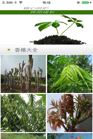 香椿网APP screenshot 3