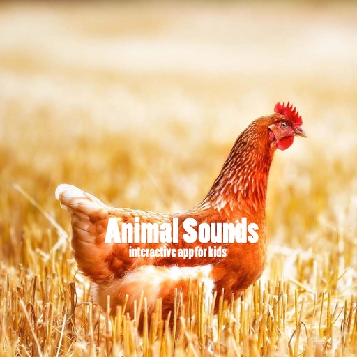 Animal Sounds - interactive app for kids Icon