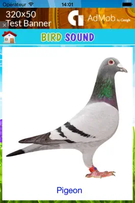 Game screenshot Best animal sound for kids hack