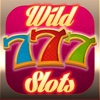 A Wild Slots Casino Game