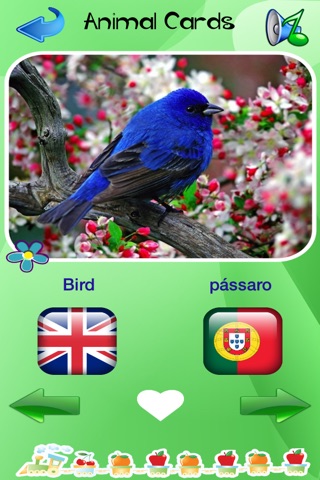 Portuguese - English Voice Flash Cards Of Animals And Tools For Small Children screenshot 3
