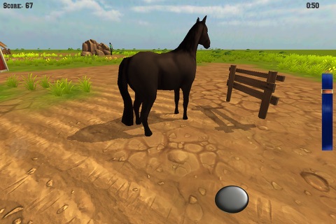 Horse Simulator screenshot 4