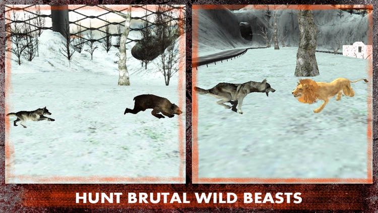 Wild Wolf Attack Simulator 3D – Live life of an alpha and take revenge for your clan