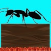 Fire Ants   a stacking ant tower game