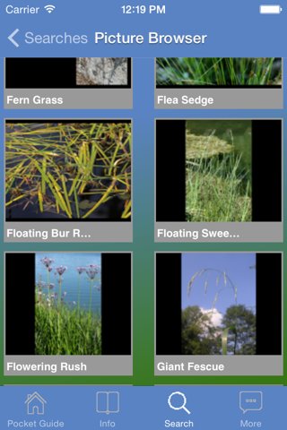 Pocket Guide UK Grasses screenshot 4