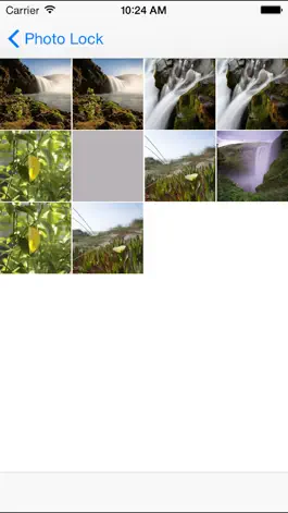 Game screenshot photo lock hack