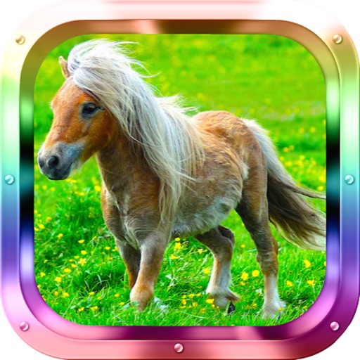 Little Pony Matching Adventure Icon