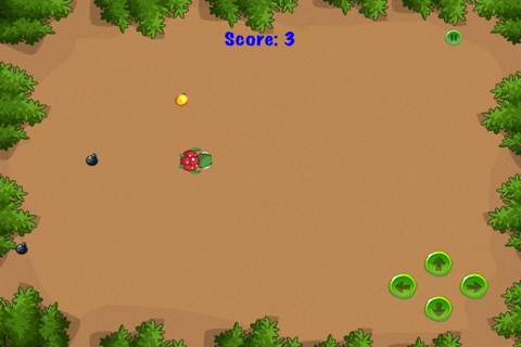 Turtle Time Bomb Run - Speedy Animal Survival Game Free screenshot 2