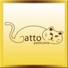 Gatto