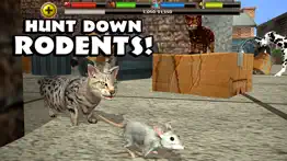 stray cat simulator iphone capturas de pantalla 3