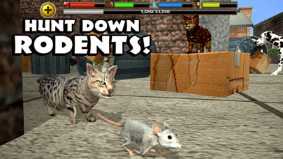 Screenshot #3 pour Stray Cat Simulator