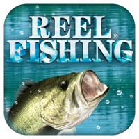 Reel Fishing Pocket apk
