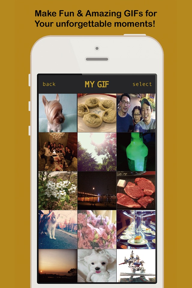 MAKE GIF - Simple,Fun & GIF Viewer screenshot 2