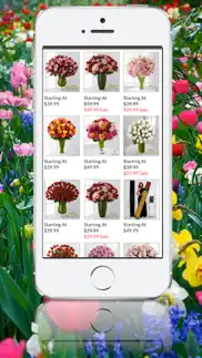 buy flowers iphone screenshot 2